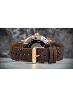 Мужские часы Orient RA-AC0P04Y