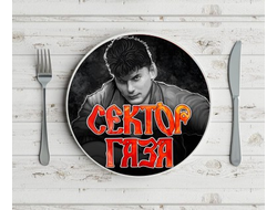 Тарелка Сектор Газа, Юрий Хой №8