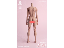 Тело женское 1/6 (AT203T) - Girl Body Light Tan  - Worldbox