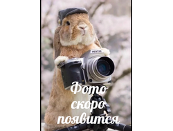 ЧИЗКЕЙК МАЛИНА-ФИСТАШКА