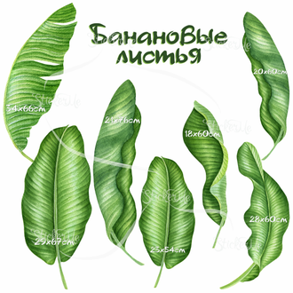 Интерьерные наклейки "Банановые листья" малый набор