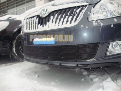 Защита радиатора Skoda Fabia 2 рестайлинг 2011-/Skoda Roomster 2011-2015 black