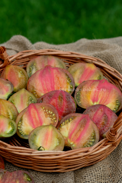 Томат Триумф Софии, 10 шт