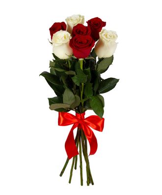 7 роз красных и белых (50 см.)