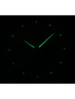 Мужские часы Orient RA-TX0302S
