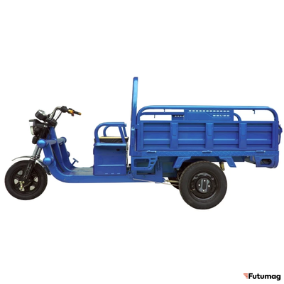 Грузовой электротрицикл Cargo Амулет 1500