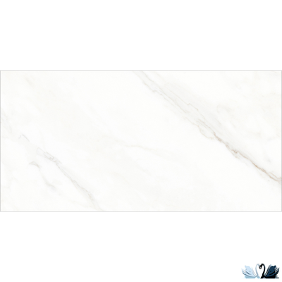 Керамогранит Ocean Ceramic Calacatta michael 60 x 120 см лаппатированный блестящий