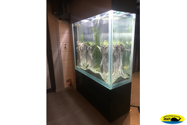 Аквариум колонна