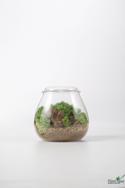 Чаша Пузырь Biolark  FOUR (120мм х 105мм)