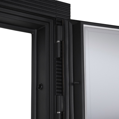 Стальная дверь   Берилл с зеркалом (биометрический замок Y23). Заказная модель.