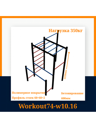 Спортивная площадка Workout W10.16 +гнездо