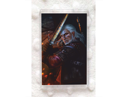 Магниты Witcher, Ведьмак