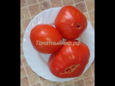 Томат Итало (Italo)