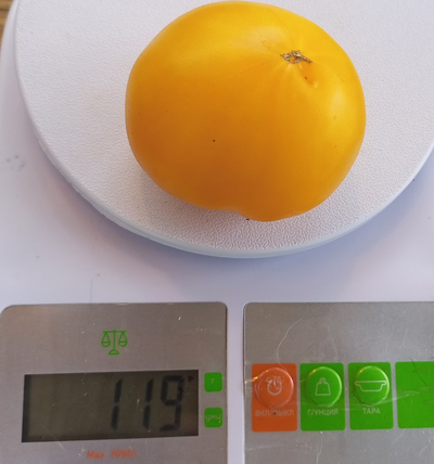 Томат Гетман Мазепа