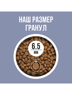 BOWL WOW (Боул Вау) корм сухой для котят Индейка, Курица, Черника 400 г