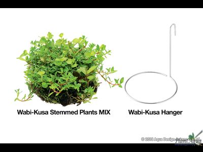 Chihiros Wabi-Kusa Hanger - набор держателей для Ваби-куса или горшков (3шт)