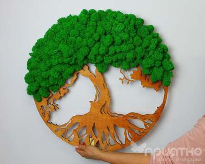 ЖИВАЯ ЭКО-КАРТИНА 1022