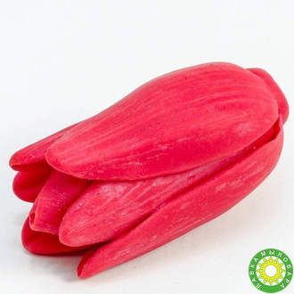 Бутон тюльпана 3 3D, форма для мыла силиконовая