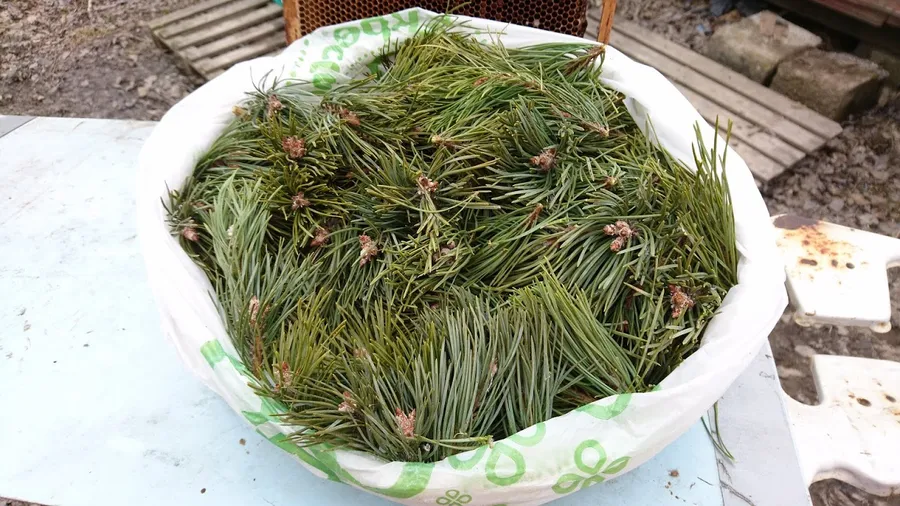 Подготовил основной ингредиент для КАС-81