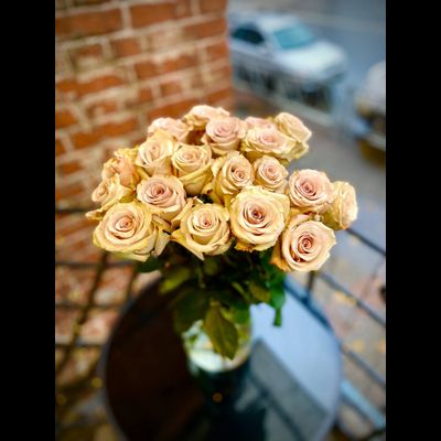 Роза Эквадор 60 см 19 шт