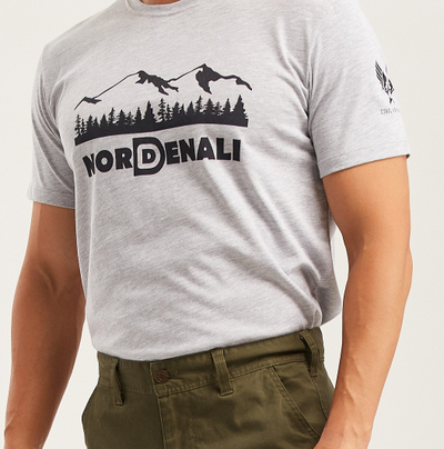 Футболка мужская DENALI BASIC Grey melange
