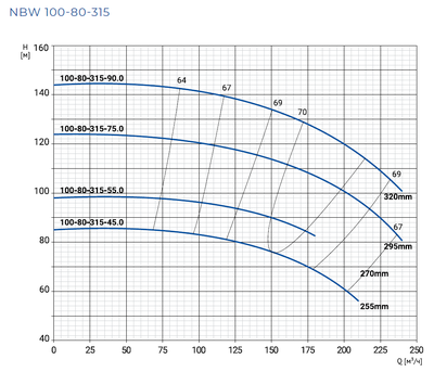 NBW 100-80-315-90.0/2-G