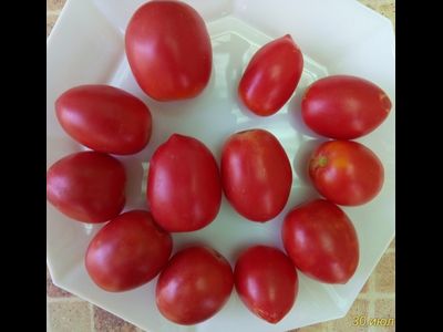 Томат Сахарная слива малиновая