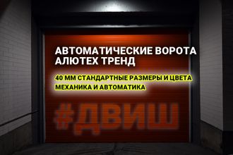 секционные вороты, подъемные ворота, гаражные ворота, для гаража челны, блок управления, привод