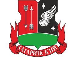 Гагаринский