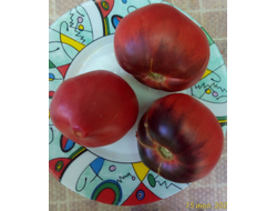 Томат KAS-21, Польша