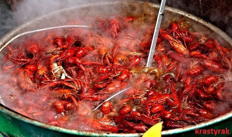 Вареные раки в большой кастрюле