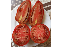 Томат Фиолетовая гордость Весселя (Wessel's Purple Pride)