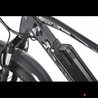 Электровелосипед VOLTECO BigCat Dual Next (Черный)