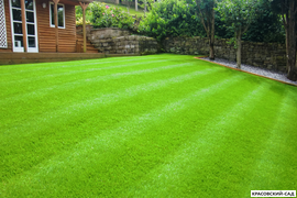 Уход за газоном