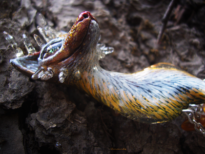 "Пятихвостая кицунэ, разжигающая пламя лисица", фэнтези-брошь в восточном стиле