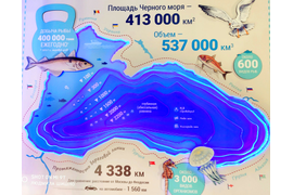 Черное море. Инсталляция музея рыбы в Феодосии