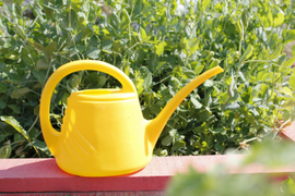 Солнечный август