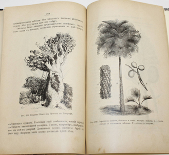 Палладин В.И. Морфология и систематика растений. СПб.: Тип. А.С.Суворина, 1905.