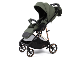 Коляска прогулочная Peppy Amici (Green) рама Gold