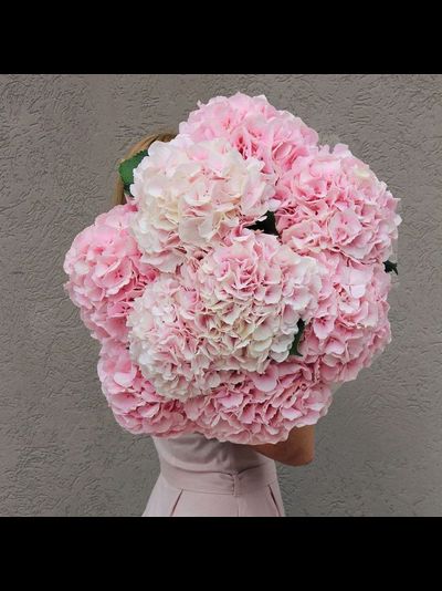 9 розовых гортензий