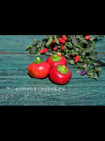 Перец сладкий Гогошар Савелова №15, 10 шт