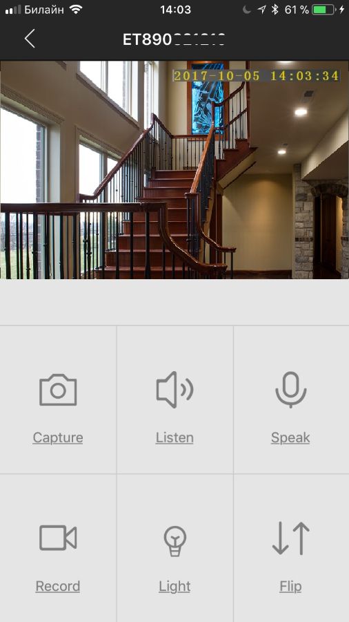 камера WiFi в корпусе ИК датчика DE-WCV-MDS720P