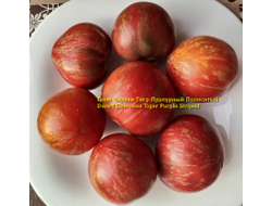 Томат Чероки тигр пурпурный полосатый, Cherokee Tiger Purple Striped)