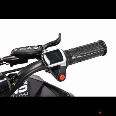 Электроквадроцикл  WHITE SIBERIA SNEG R 1500W