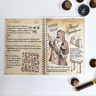 Дневник №1 на пружине с картинками