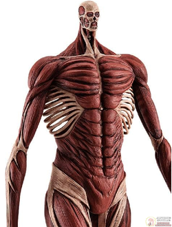 Фигурка Колоссальный титан (Colossus Titan Ver., L. Pop Up Parade)