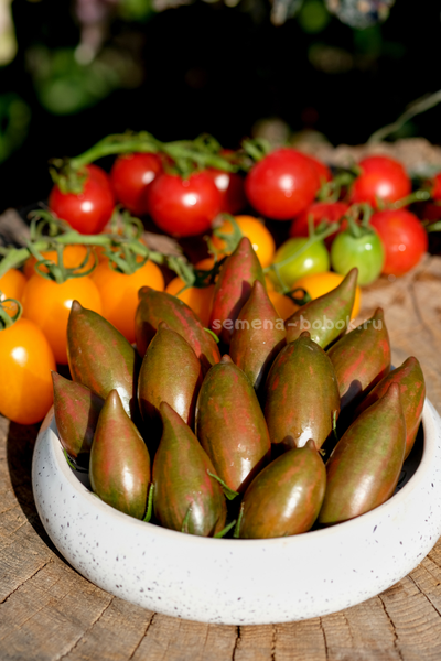 Томат Purple smaragd (Фиолетовый изумруд), 10 шт