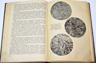 Балкевич В.Л. Техническая керамика. М.: Стройиздат. 1968г.