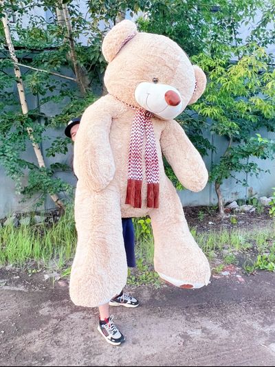 Гигантский плюшевый медведь 280 см кремовый Михель