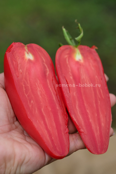 Томат Roșii de Prahova (Помидоры Прахова), 10 шт